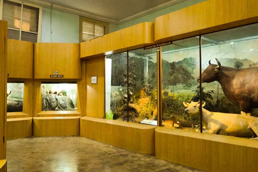 museum
